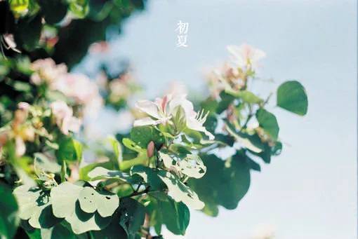 1589168700134926.jpg clip_image002.jpg